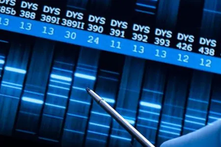 dna testing family courts