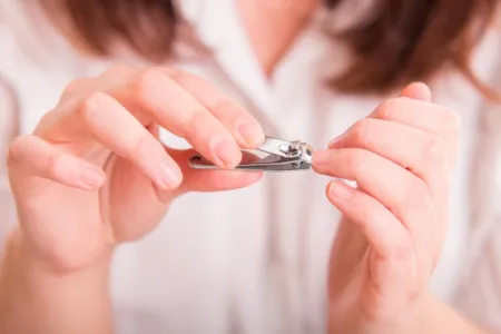nail cutter