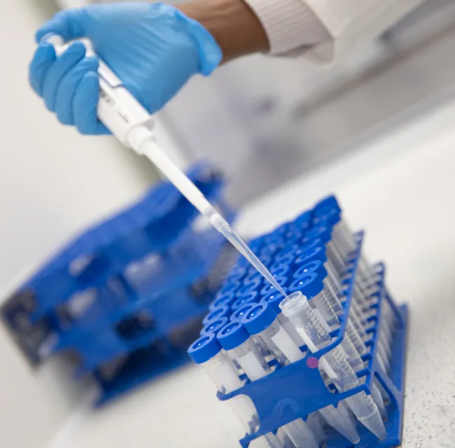 lab dna