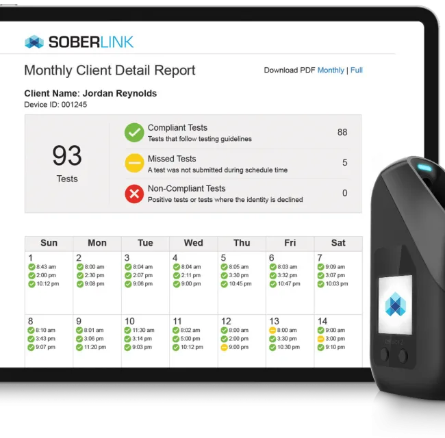 soberlink device