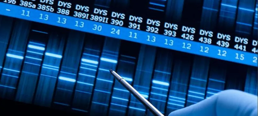 dna testing family courts